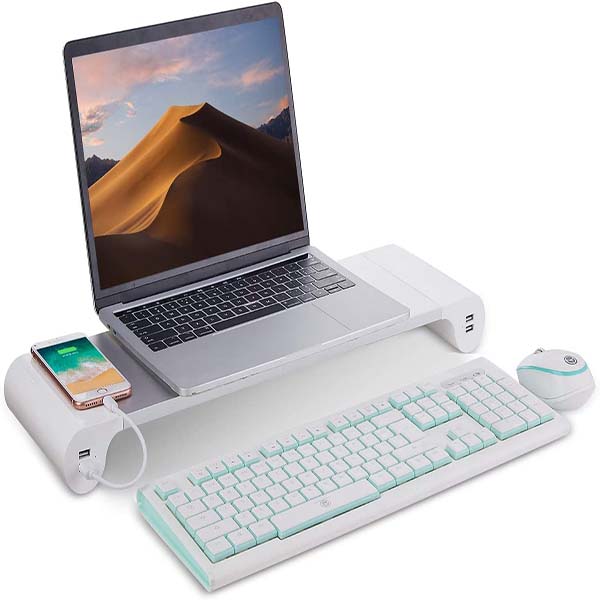 Monitor Stand with Usb Port Charging 