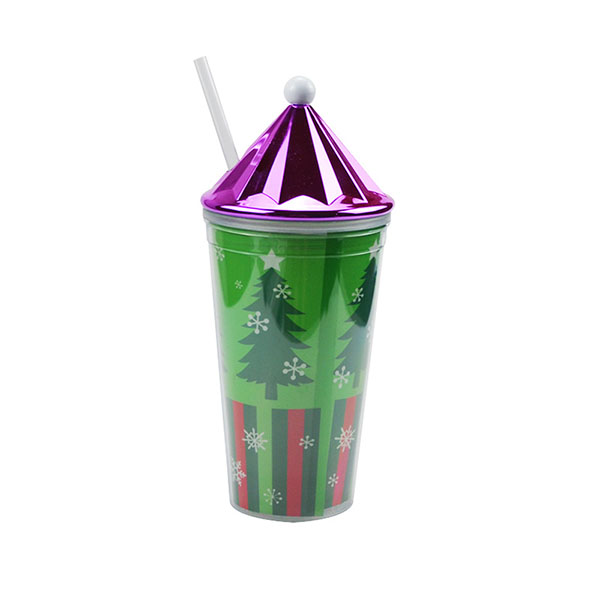 double wall tumbler with Straw Bottle 