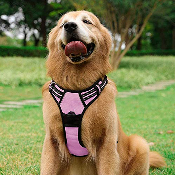 Reflective Adjustable Dog Vest