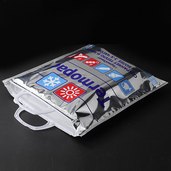 Insulated Picnic Shopping Cooler Bags