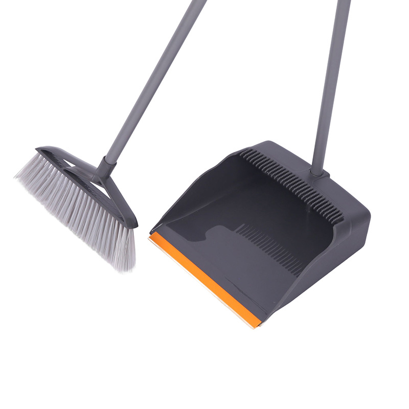 Dust broom with duster