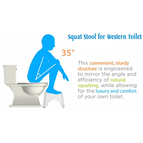 Toilet Squatty Step Foot Stool