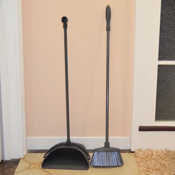 Dust Pan and Broom Set