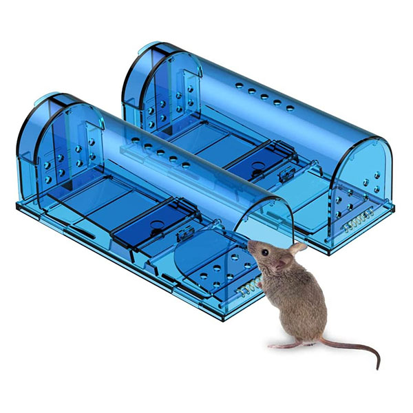 2 Packs Alive mouse trap