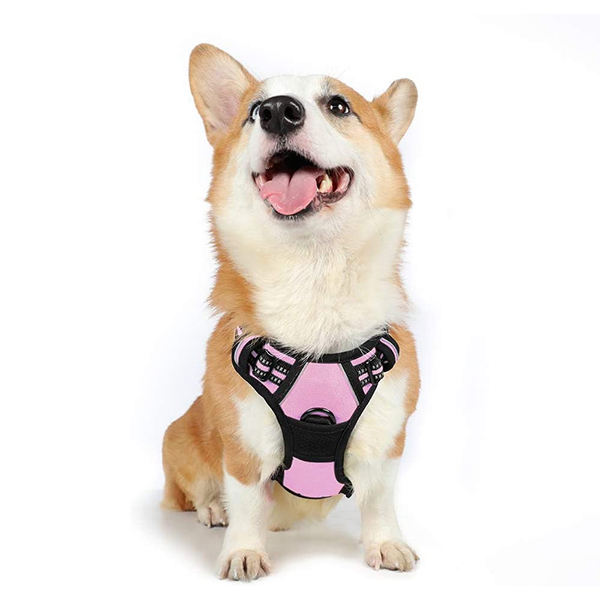 Reflective Adjustable Dog Vest